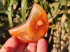 Polished Carnelian Gemstone Crescent Moons x 12 From Madagascar - Toprock Gemstones and Minerals 