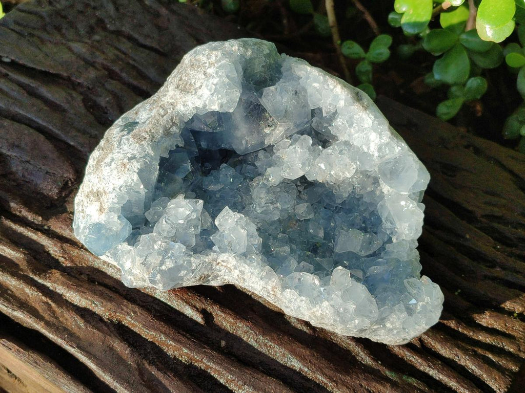 Natural Large Blue Celestite Geode Specimen x 1 From Sakoany, Madagascar - Toprock Gemstones and Minerals 