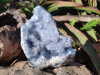 Natural Large Blue Celestite Geode Specimen x 1 From Sakoany, Madagascar - Toprock Gemstones and Minerals 