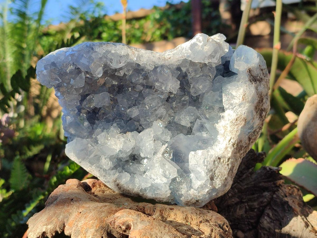 Natural Large Blue Celestite Geode Specimen x 1 From Sakoany, Madagascar - Toprock Gemstones and Minerals 