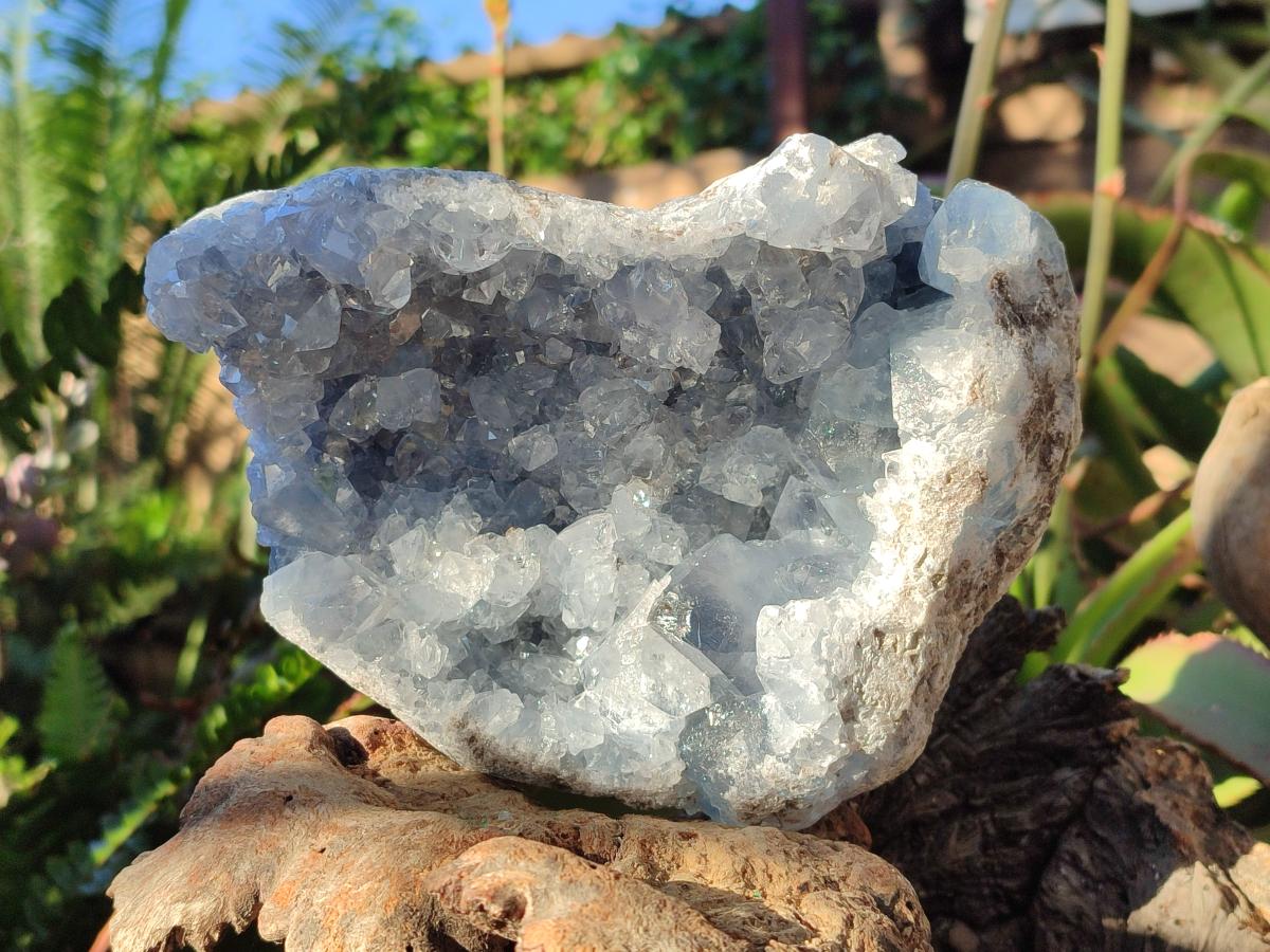 Natural Large Blue Celestite Geode Specimen x 1 From Sakoany, Madagascar - Toprock Gemstones and Minerals 