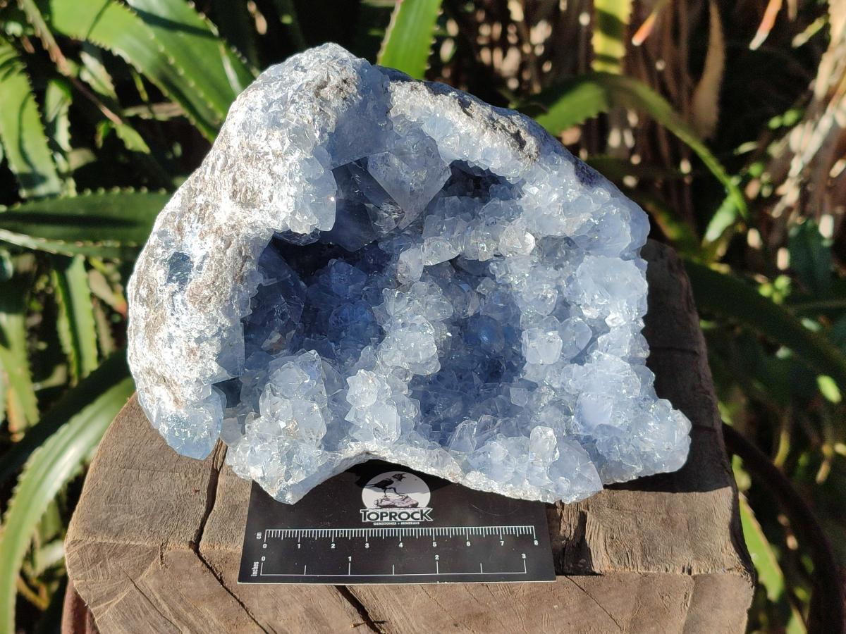 Natural Large Blue Celestite Geode Specimen x 1 From Sakoany, Madagascar - Toprock Gemstones and Minerals 