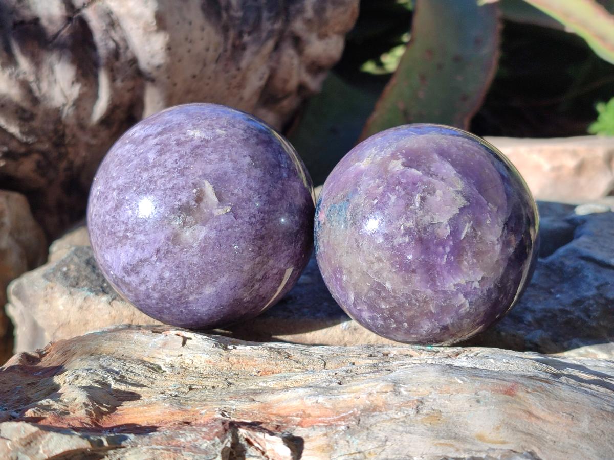 Polished Lepidolite with Pink Rubellite Spheres x 5 From Ambatondrazaka, Madagascar - Toprock Gemstones and Minerals 