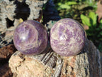 Polished Lepidolite with Pink Rubellite Spheres x 5 From Ambatondrazaka, Madagascar - Toprock Gemstones and Minerals 