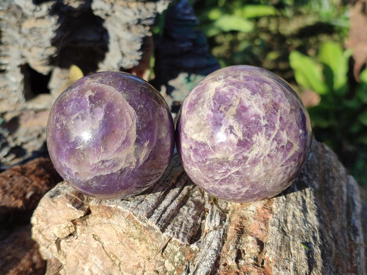 Polished Lepidolite with Pink Rubellite Spheres x 5 From Ambatondrazaka, Madagascar - Toprock Gemstones and Minerals 