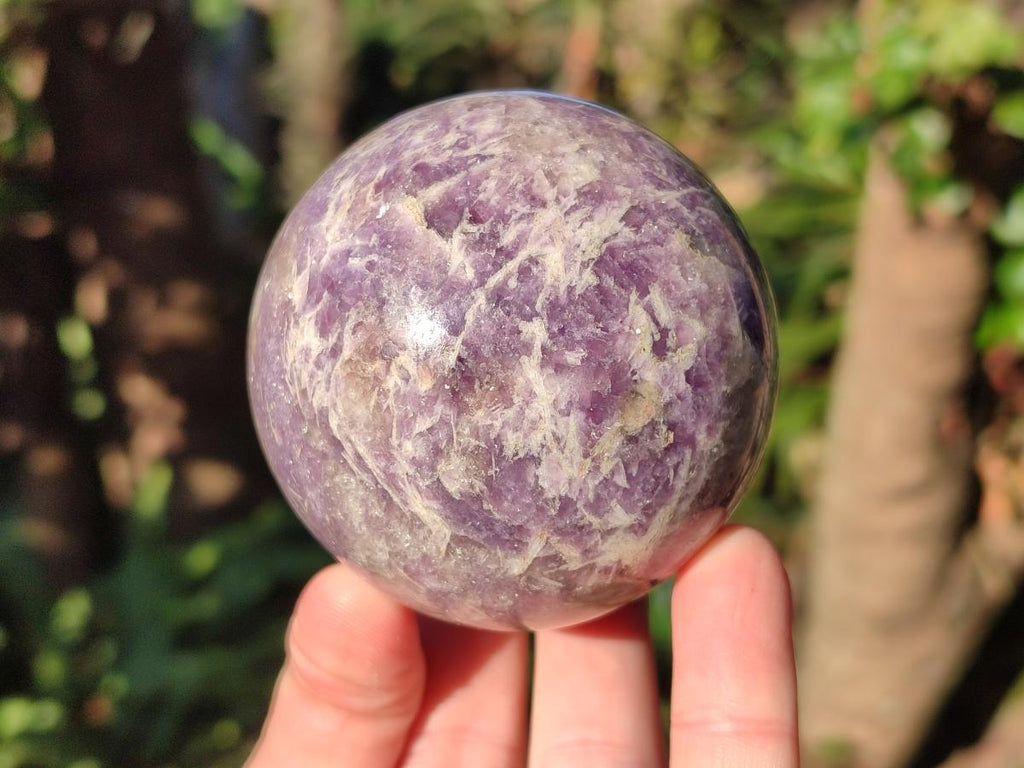 Polished Lepidolite with Pink Rubellite Spheres x 5 From Ambatondrazaka, Madagascar - Toprock Gemstones and Minerals 