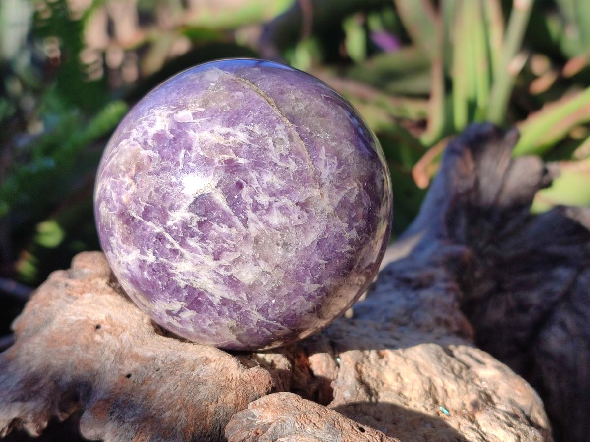 Polished Lepidolite with Pink Rubellite Spheres x 5 From Ambatondrazaka, Madagascar - Toprock Gemstones and Minerals 