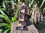 Polished Septerye Sauvage Display Crystal Tower with Vugs x 1 From Mahajanga, Madagascar - Toprock Gemstones and Minerals 