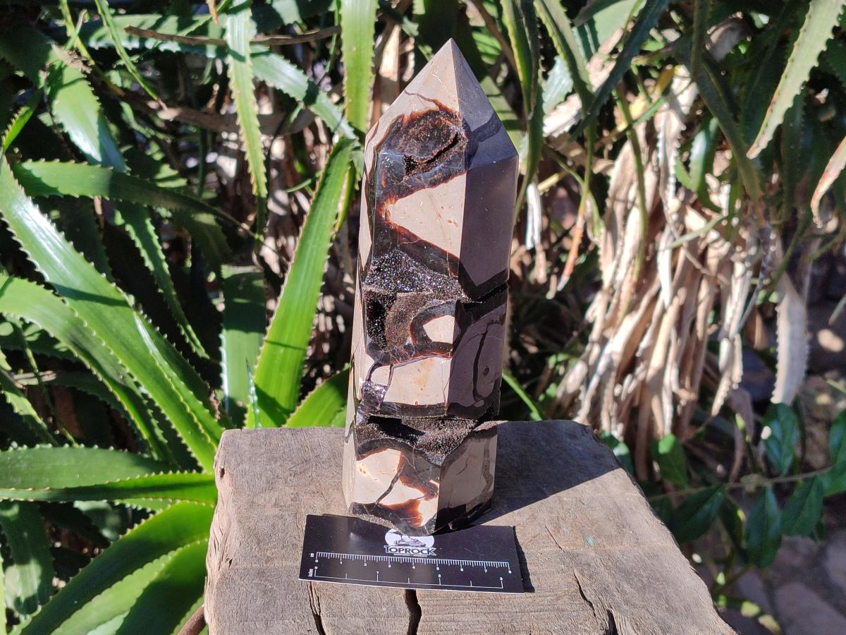Polished Septerye Sauvage Display Crystal Tower with Vugs x 1 From Mahajanga, Madagascar - Toprock Gemstones and Minerals 