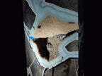 Polished Septerye Sauvage Display Crystal Tower with Vugs x 1 From Mahajanga, Madagascar - Toprock Gemstones and Minerals 