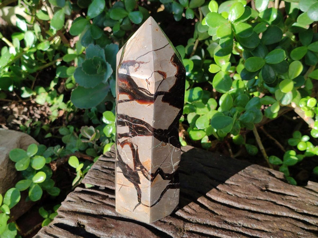 Polished Septerye Sauvage Display Crystal Tower with Vugs x 1 From Mahajanga, Madagascar - Toprock Gemstones and Minerals 