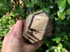 Polished Septerye Sauvage Display Crystal Tower with Vugs x 1 From Mahajanga, Madagascar - Toprock Gemstones and Minerals 