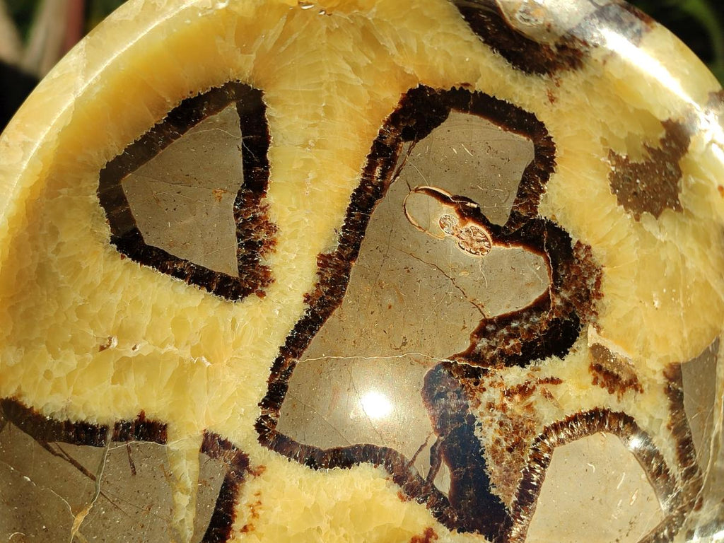 Polished Septerye Bowls x 2 From Mahajanga, Madagascar - Toprock Gemstones and Minerals 