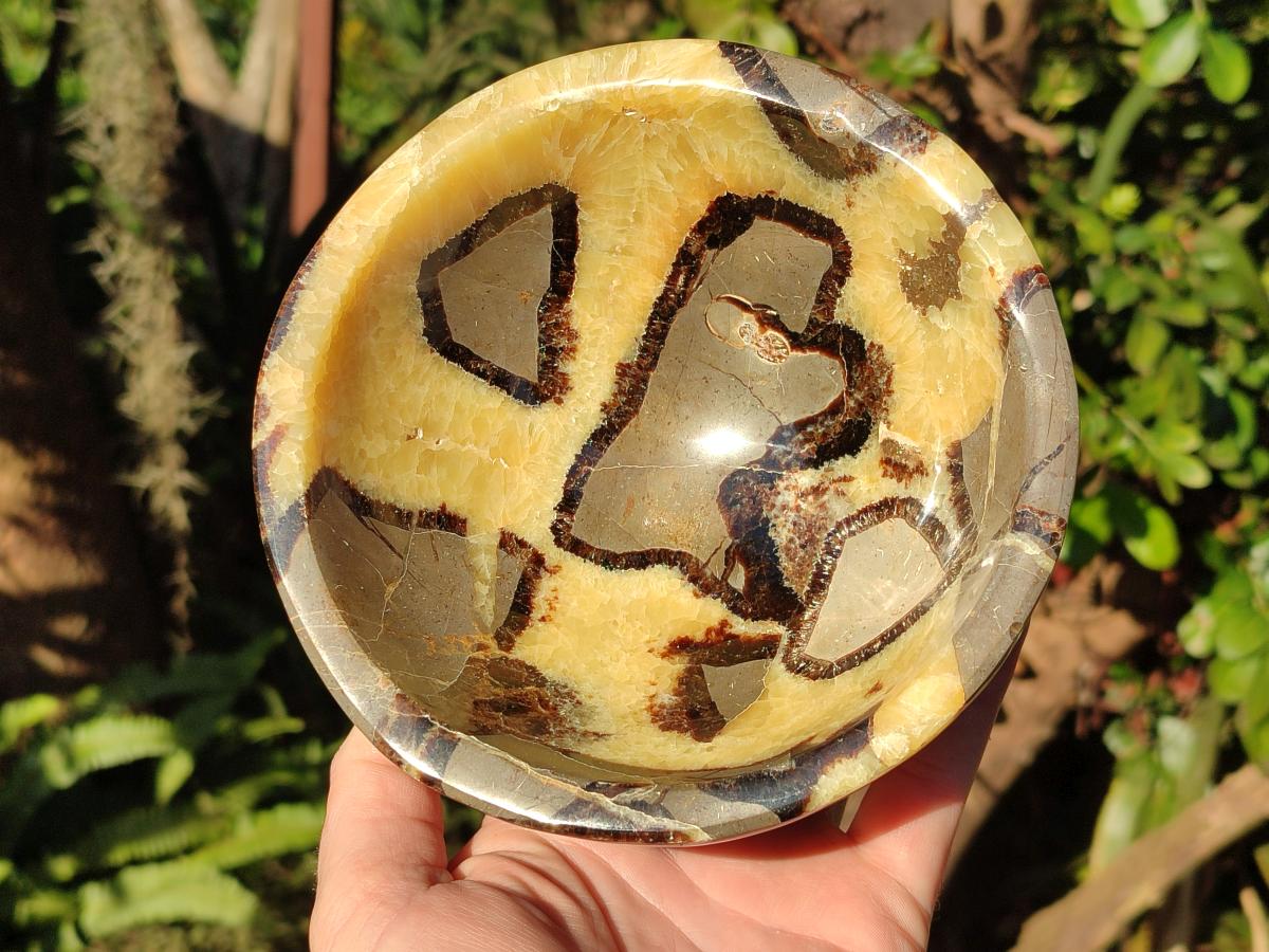 Polished Septerye Bowls x 2 From Mahajanga, Madagascar - Toprock Gemstones and Minerals 
