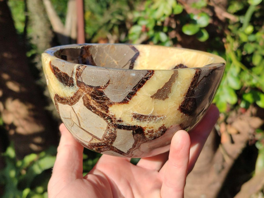 Polished Septerye Bowls x 2 From Mahajanga, Madagascar - Toprock Gemstones and Minerals 
