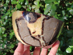 Polished Septerye Bowls x 2 From Mahajanga, Madagascar - Toprock Gemstones and Minerals 