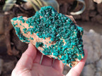 Natural Dioptase on Dolomite Specimens x 2 From Likasi, Congo - Toprock Gemstones and Minerals 