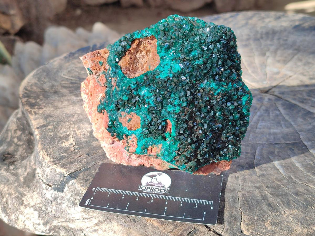Natural Dioptase on Dolomite Specimens x 2 From Likasi, Congo - Toprock Gemstones and Minerals 