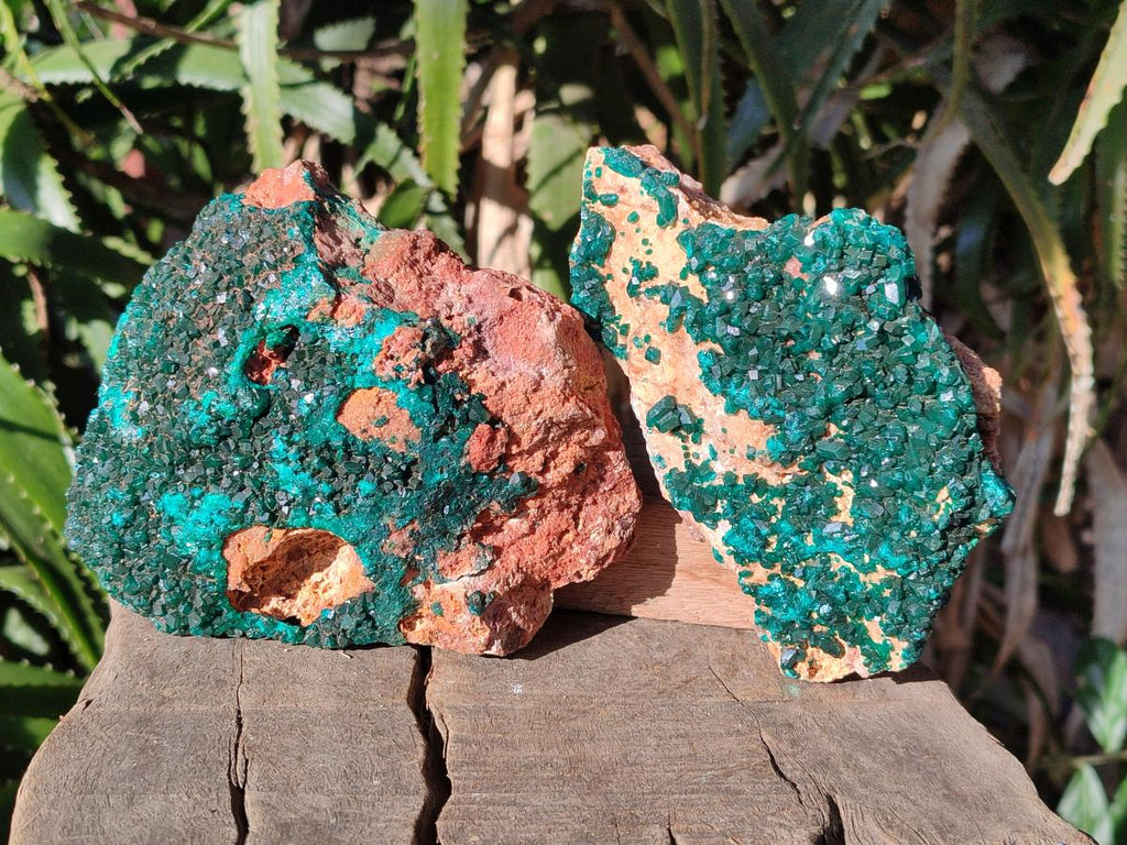 Natural Dioptase on Dolomite Specimens x 2 From Likasi, Congo - Toprock Gemstones and Minerals 