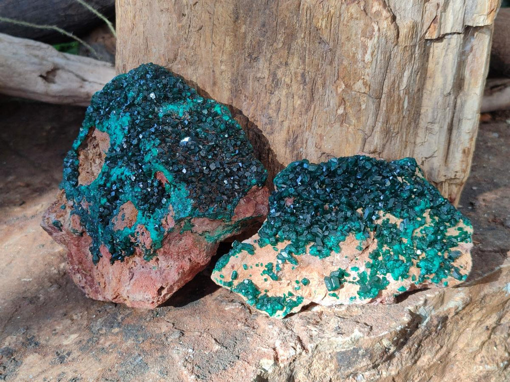 Natural Dioptase on Dolomite Specimens x 2 From Likasi, Congo - Toprock Gemstones and Minerals 