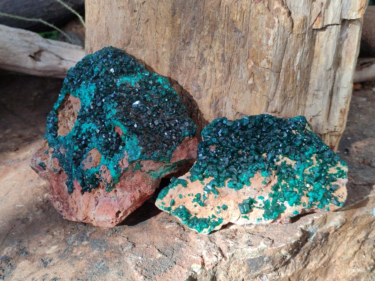 Natural Dioptase on Dolomite Specimens x 2 From Likasi, Congo - Toprock Gemstones and Minerals 