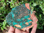 Natural Dioptase on Dolomite Specimens x 2 From Likasi, Congo - Toprock Gemstones and Minerals 
