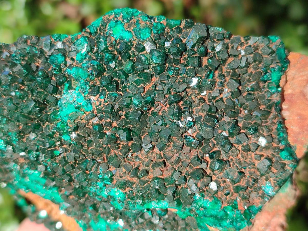Natural Dioptase on Dolomite Specimens x 2 From Likasi, Congo - Toprock Gemstones and Minerals 