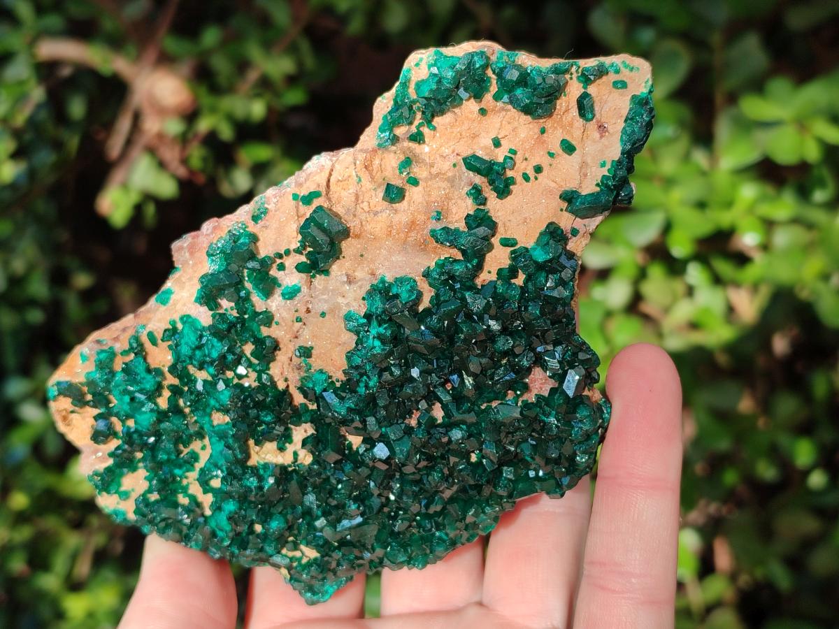 Natural Dioptase on Dolomite Specimens x 2 From Likasi, Congo - Toprock Gemstones and Minerals 
