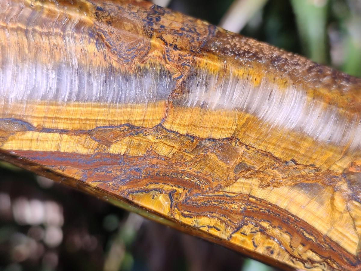 Polished Golden Tigers Eye Display Crystals x 4 From Prieska, South Africa - Toprock Gemstones and Minerals 
