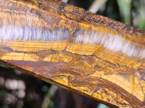 Polished Golden Tigers Eye Display Crystals x 4 From Prieska, South Africa - Toprock Gemstones and Minerals 