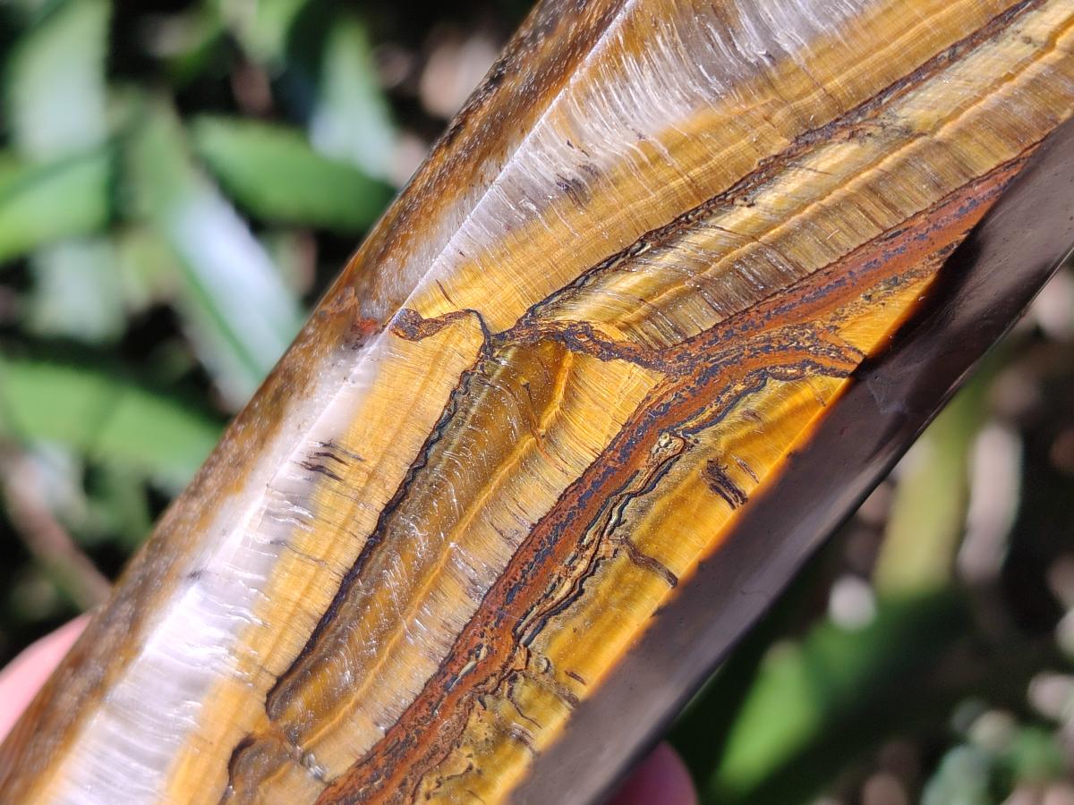 Polished Golden Tigers Eye Display Crystals x 4 From Prieska, South Africa - Toprock Gemstones and Minerals 
