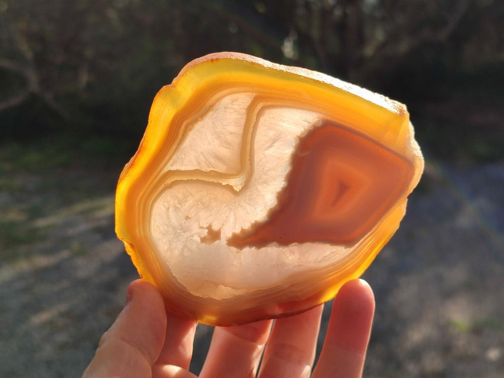 Polished Banded Agate Slices with Natural Edging x 12 From Madagascar - Toprock Gemstones and Minerals 