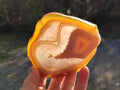 Polished Banded Agate Slices with Natural Edging x 12 From Madagascar - Toprock Gemstones and Minerals 