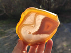 Polished Banded Agate Slices with Natural Edging x 12 From Madagascar - Toprock Gemstones and Minerals 