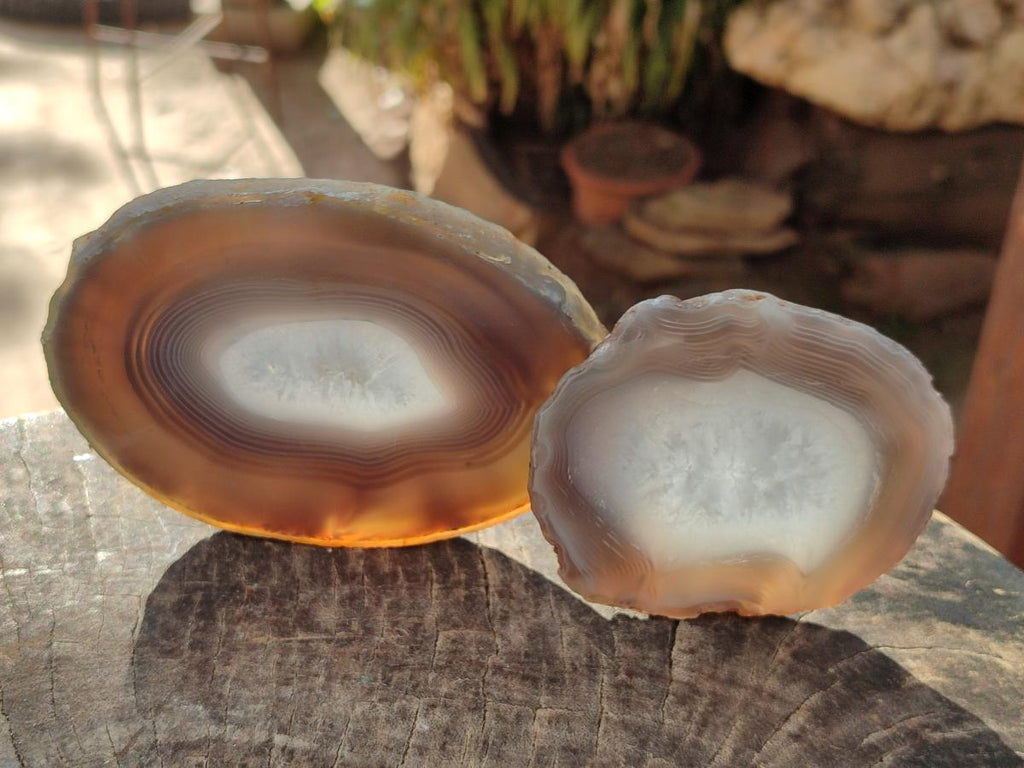 Polished Banded Agate Slices with Natural Edging x 12 From Madagascar - Toprock Gemstones and Minerals 