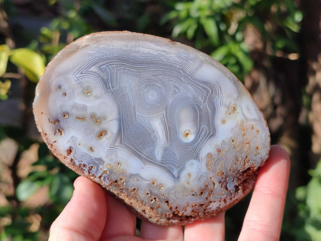 Polished Banded Agate Slices with Natural Edging x 12 From Madagascar - Toprock Gemstones and Minerals 