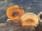 Polished Banded Agate Slices with Natural Edging x 12 From Madagascar - Toprock Gemstones and Minerals 