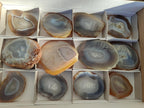 Polished Banded Agate Slices with Natural Edging x 12 From Madagascar - Toprock Gemstones and Minerals 