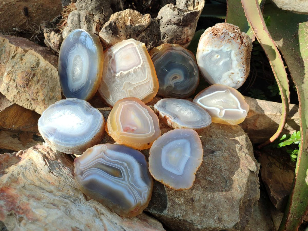 Polished Banded Agate Slices with Natural Edging x 12 From Madagascar - Toprock Gemstones and Minerals 