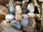 Polished Banded Agate Slices with Natural Edging x 12 From Madagascar - Toprock Gemstones and Minerals 