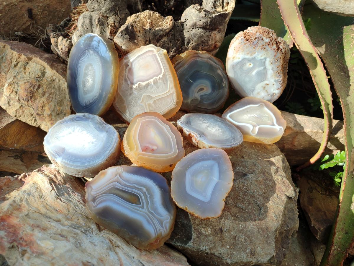 Polished Banded Agate Slices with Natural Edging x 12 From Madagascar - Toprock Gemstones and Minerals 