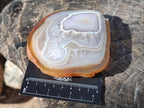 Polished Banded Agate Slices with Natural Edging x 12 From Madagascar - Toprock Gemstones and Minerals 
