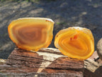 Polished Banded Agate Slices with Natural Edging x 12 From Madagascar - Toprock Gemstones and Minerals 