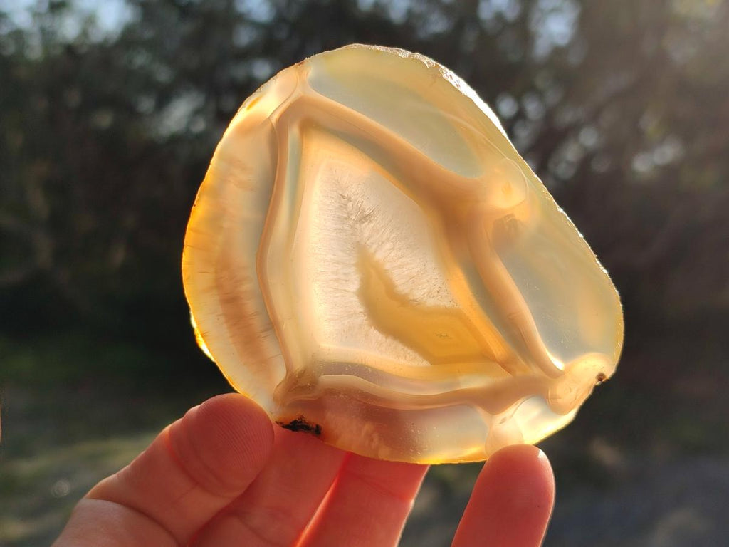 Polished Banded Agate Slices with Natural Edging x 12 From Madagascar - Toprock Gemstones and Minerals 