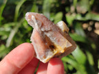 Natural Drusy Fairy Spirit Quartz Cluster and Crystals x 35 From Boekenhouthoek, South Africa - Toprock Gemstones and Minerals 
