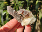 Natural Drusy Fairy Spirit Quartz Cluster and Crystals x 35 From Boekenhouthoek, South Africa - Toprock Gemstones and Minerals 