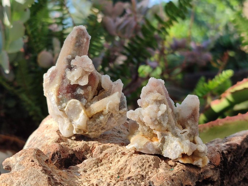 Natural Drusy Fairy Spirit Quartz Cluster and Crystals x 35 From Boekenhouthoek, South Africa - Toprock Gemstones and Minerals 