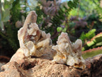 Natural Drusy Fairy Spirit Quartz Cluster and Crystals x 35 From Boekenhouthoek, South Africa - Toprock Gemstones and Minerals 