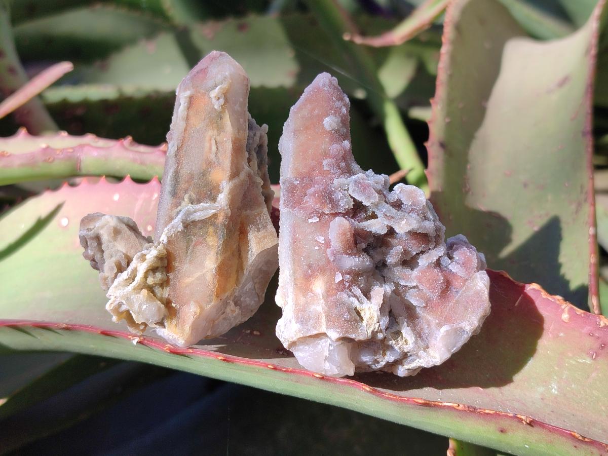 Natural Drusy Fairy Spirit Quartz Cluster and Crystals x 35 From Boekenhouthoek, South Africa - Toprock Gemstones and Minerals 