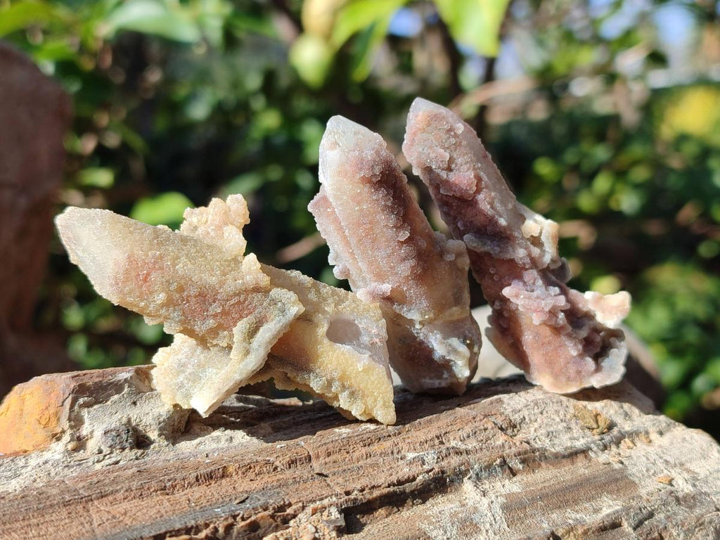 Natural Drusy Fairy Spirit Quartz Cluster and Crystals x 35 From Boekenhouthoek, South Africa - Toprock Gemstones and Minerals 